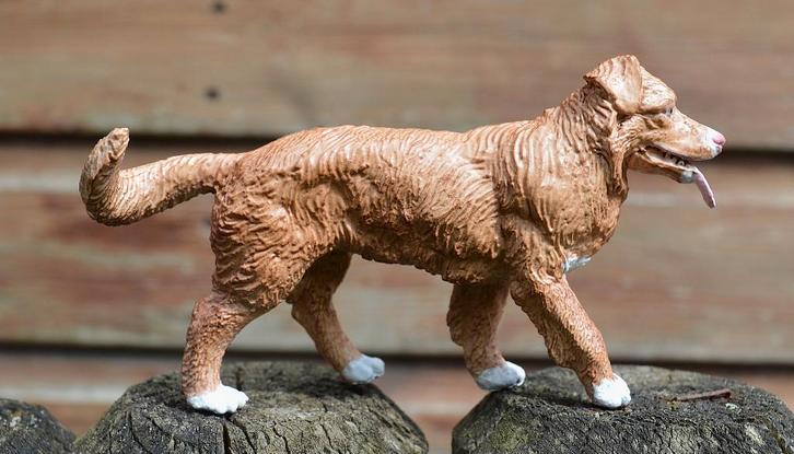 schleich nova scotia duck tolling retriever, Verzamelen, Dierenverzamelingen, Zo goed als nieuw, Beeldje of Figuurtje, Hond of Kat