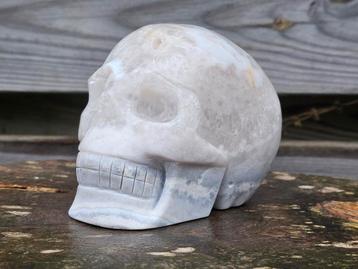 Gave blauwe chalcedoon schedel 1779 gram beschikbaar voor biedingen