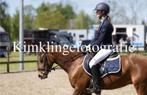 Mooie D pony 1.46 m, Dieren en Toebehoren, Paarden, Merrie, Springpaard, Minder dan 160 cm, Gechipt