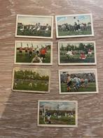 37 Miss Blanche “kleine kaartjes” seizoen 1932/1933, Ophalen of Verzenden, Zo goed als nieuw, Poster, Plaatje of Sticker