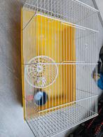 Hamster/Cavia kooi, Ophalen