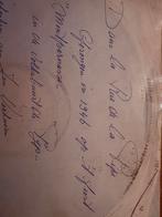 Radio de Pijp , LP Elpee 1981 Den Bosch, Ophalen of Verzenden, Gebruikt, 12 inch, Nederlandstalig