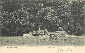 (387-038-033) Oosterbeek Dennenoord beschikbaar voor biedingen