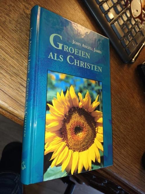 John Angell James - Groeien als christen, Boeken, Godsdienst en Theologie, Gelezen, Christendom | Protestants, Ophalen of Verzenden