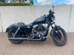harley Davidson Sportster 883 LOW, Motoren, Motoren | Harley-Davidson, 2 cilinders, Sportuitlaat, Particulier, Meer dan 35 kW