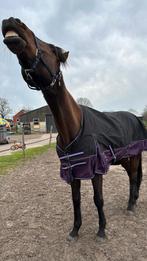 KENT U DIT PAARD?, Ophalen
