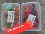 Verschillende Soorten Droogbloemen 12 x Bakjes in 1 Koop, Nieuw, Ophalen of Verzenden