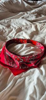 Halsband, Ophalen of Verzenden, Nieuw