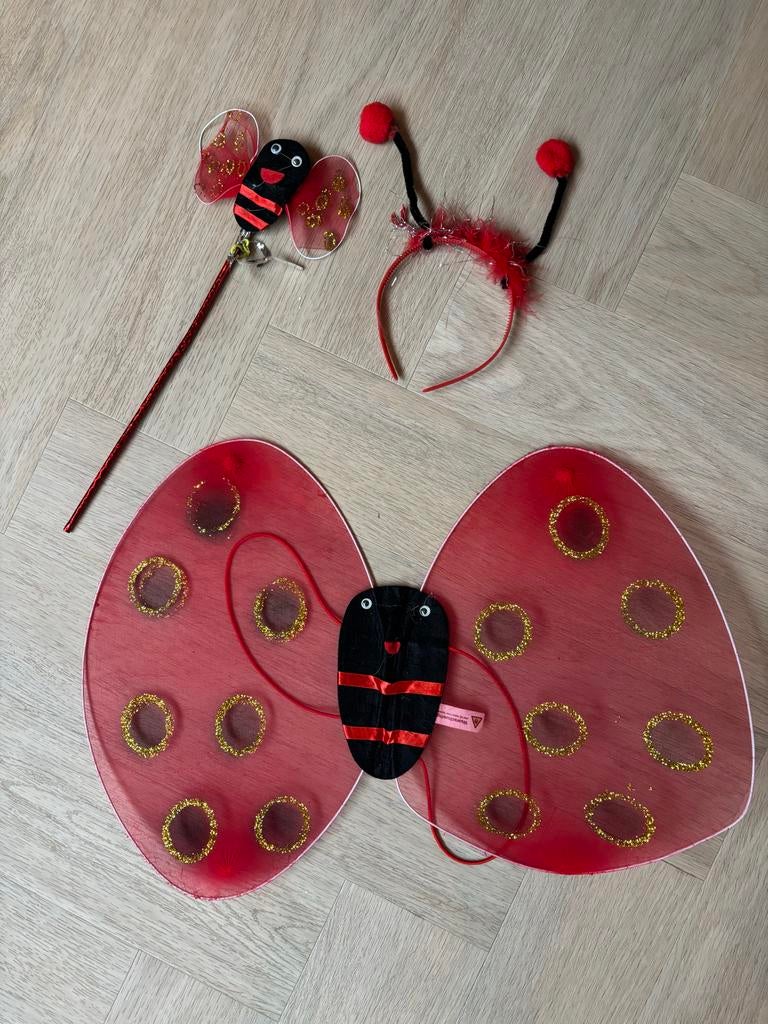 Set Bij Rood Carnaval Kind, Ophalen, Zo goed als nieuw, 104 of kleiner, Jongen of Meisje