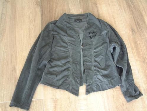 grijs vest Anna Scott maat XXL, Kleding | Dames, Truien en Vesten, Grijs, Ophalen of Verzenden