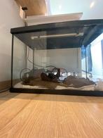 Superfish aquarium 70 liter bak, Dieren en Toebehoren, Ophalen, Zo goed als nieuw, Leeg aquarium