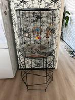 Mooie vogel kooi, Ophalen, Zo goed als nieuw, Metaal, Vogelkooi