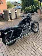 Harley Davidson Sportster 883, Motoren, Particulier, Chopper
