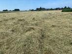 Kleine hooibalen te koop direct van het land, Dieren en Toebehoren, Ophalen, Vee