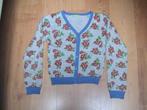 HEMA mooi grijs vest met rode / groene rozen maat XXS / 128, Gebruikt, Meisje, Trui of Vest, Ophalen of Verzenden