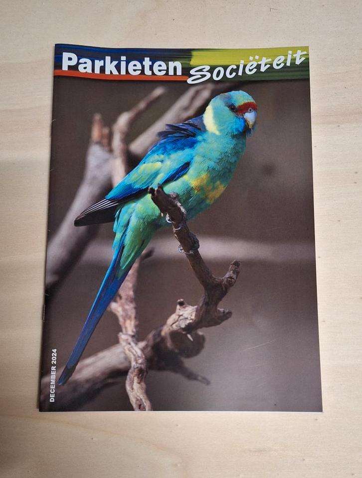 Maand bladen Parkieten Societeit, Dieren en Toebehoren, Vogels | Parkieten en Papegaaien, Parkiet, Meerdere dieren