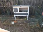 2 konijnen te koop, Dieren en Toebehoren, Konijnen, Vrouwelijk, Middelgroot, Hangoor, 0 tot 2 jaar