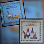 Kabouter David  - twee boeken, Ophalen of Verzenden, Gelezen, Van Holkema & Warendorf, Fictie algemeen