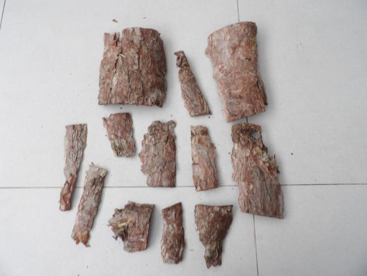 NIEUW 12 mooie droge stukken HOUTSCHORS ( 6 ), Hobby en Vrije tijd, Knutselen, Nieuw, Materiaal, Ophalen of Verzenden