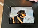 iPad Pro 12.9 inch (2020) – 128GB Wi-Fi (Model A2229), Ophalen of Verzenden, Gebruikt, Apple iPad