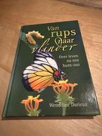 Van rups naar vlinder W. Durieux leven na een Burn out, Ophalen of Verzenden, Zo goed als nieuw
