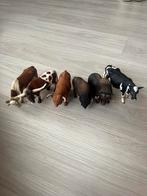 Schleich koeien, Ophalen of Verzenden, Zo goed als nieuw, Boerderijdier, Beeldje of Figuurtje