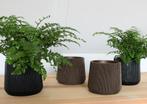 Strak en duurzaam: modern bloempotje, Rond, Nieuw, Ophalen of Verzenden, Minder dan 25 cm