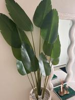 Fejka kunstplant ikea, Ophalen