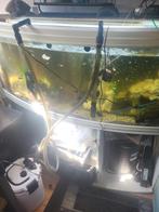 Mooi graat aquarium 170 lang uit me hoofd, Dieren en Toebehoren, Vissen | Aquaria en Toebehoren, Ophalen, Zo goed als nieuw, Gevuld zoetwateraquarium