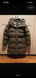 Elvine vesper winterjas xs, Kleding | Dames, Jassen | Winter, Ophalen of Verzenden, Nieuw, Maat 34 (XS) of kleiner, Groen