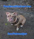 Hondenuitlaatservice aangeboden, Ophalen of Verzenden