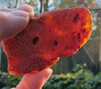 Groot stuk Pools barnsteen, Ophalen of Verzenden, Mineraal