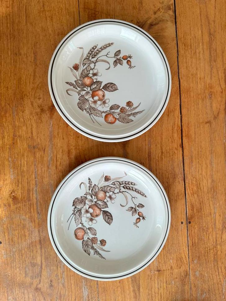 2x Vintage Royal Tudor Crown Harvest borden 26 cm, Antiek en Kunst, Antiek | Servies los, Ophalen of Verzenden