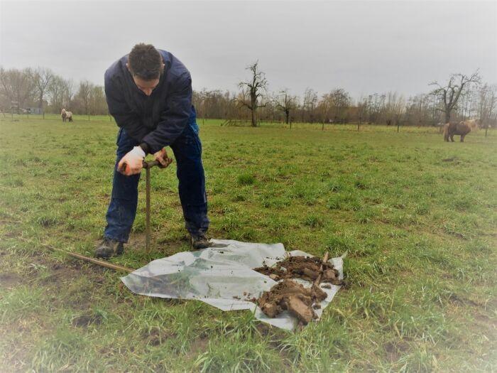 Verticale Drainage met Grind, Tuin en Terras, Grind, Keien en Split, Ophalen