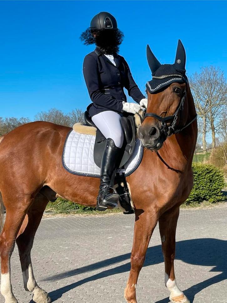 Super lieve E-pony ruin, Dieren en Toebehoren, Paarden, Ruin, M, Minder dan 160 cm, 11 jaar of ouder, Recreatiepaard, Met stamboom