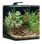 Aquarium Dennerle nano cube 30 liter met verlichting, Ophalen of Verzenden, Zo goed als nieuw, Leeg aquarium