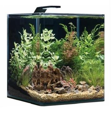 Aquarium Dennerle nano cube 30 liter met verlichting beschikbaar voor biedingen