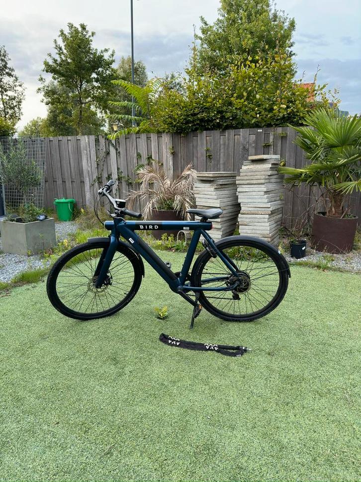 BIRD E-bike 28 Inch herenfiets sky blue, Fietsen en Brommers, Elektrische fietsen, Zo goed als nieuw, Overige merken, 59 cm of meer