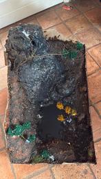 Surprise hike, waterval, wandelen., Diversen, Kerst, Ophalen of Verzenden