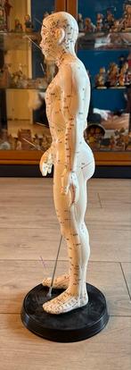 Acupunctuur Model, Antiek en Kunst, Ophalen