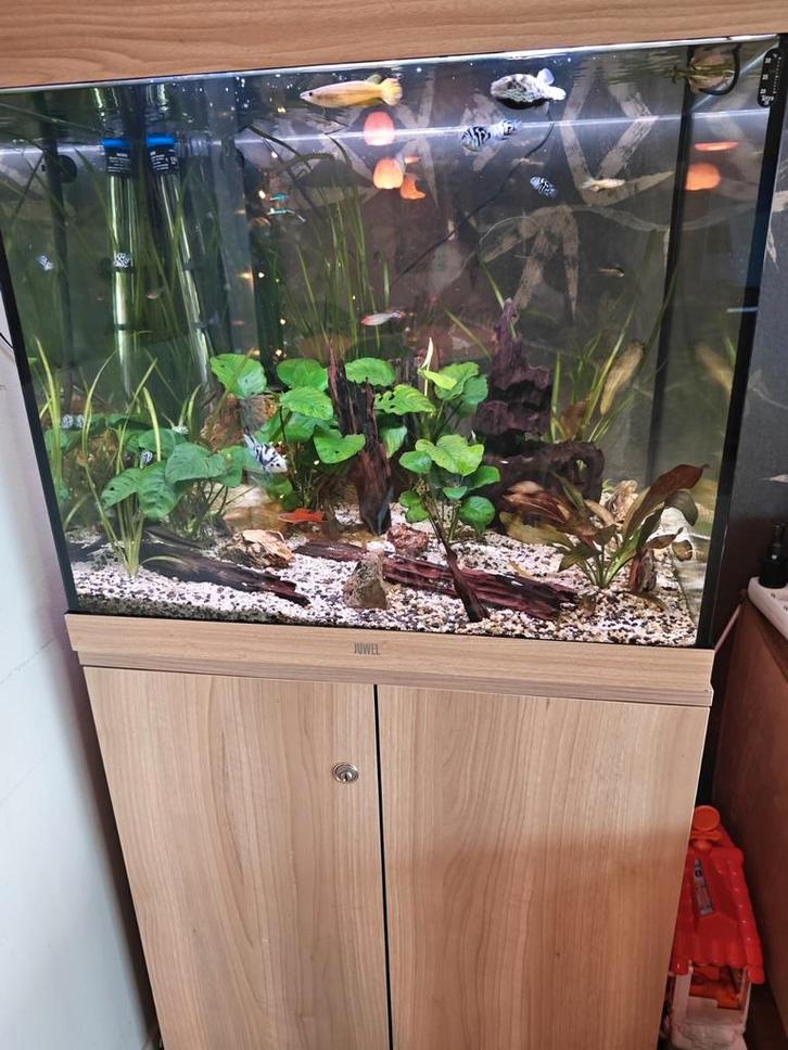 Aquarium 200 liter, Dieren en Toebehoren, Vissen | Aquaria en Toebehoren, Zo goed als nieuw, Leeg aquarium, Ophalen