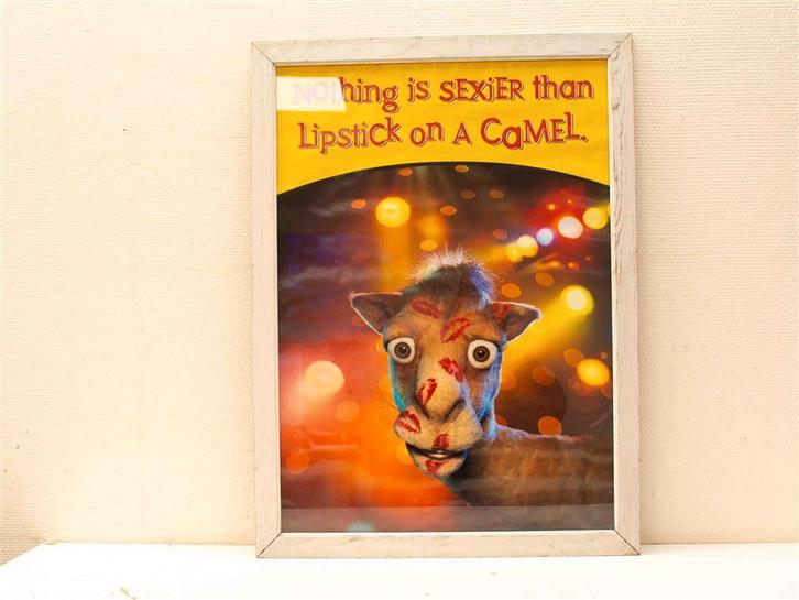 ingelijste poster van een kameel met lipstick 38707, Verzamelen, Posters, Gebruikt, Film en Tv, A1 t/m A3, Ophalen of Verzenden