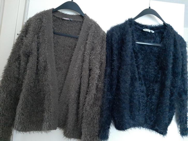 2 Meisjes Vesten - Zacht en Warm, maat 146 & 158 - € 5,- p.s, Kinderen en Baby's, Kinderkleding | Maat 158, Zo goed als nieuw