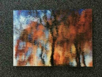 Exclusief Gallery Art Water 50x70 cm beschikbaar voor biedingen