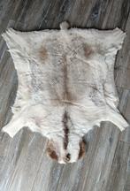 Authentieke Rendierhuid - Decoratie, Huis en Inrichting, Scandinavisch, Ophalen of Verzenden, Zo goed als nieuw, Overige vormen
