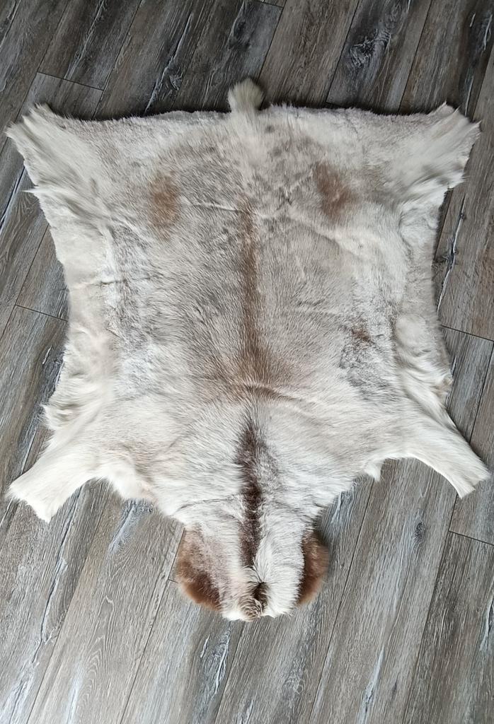 Authentieke Rendierhuid - Decoratie, Huis en Inrichting, Stoffering | Tapijten en Kleden, Zo goed als nieuw, 100 tot 150 cm, 100 tot 150 cm