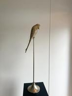 Papagaai standaard Light en Living, Huis en Inrichting, Ophalen of Verzenden, Zo goed als nieuw, Minder dan 100 cm