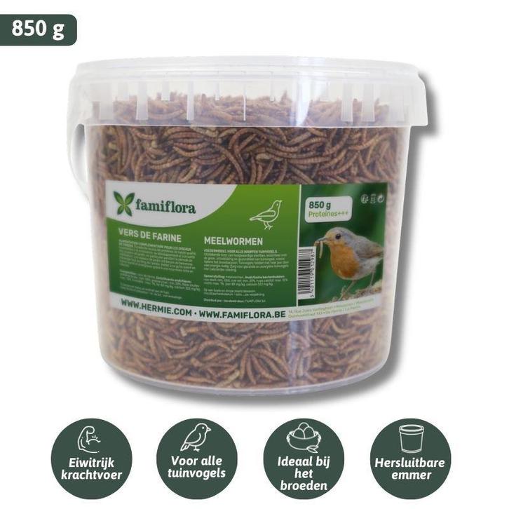 Gedroogde meelwormen 850 g =  5L in hersluitbare emmer, Dieren en Toebehoren, Vogels | Toebehoren, Nieuw, Eten en Drinken, Verzenden