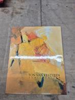 Ton van Kesteren - Schilderijen Boek, Ophalen of Verzenden, Zo goed als nieuw, Schilder- en Tekenkunst, Ton van Kesteren