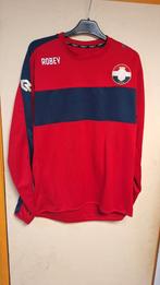 Willem II training trui Denk L/XL, Ophalen of Verzenden, Gebruikt, Willem II, Shirt